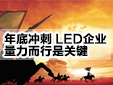כ_LEDIPI